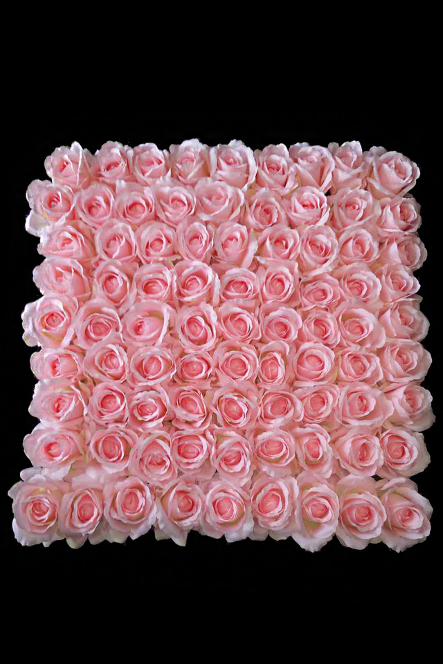 ROSE ROSES ARTIFICIAL ARTIFICIALS FLOWERS FLOWER HEAD HEADS PANEL PANELS WALL WALLS FLOWER PANEL FLOWER PANELS FLOWER WALL FLOWER WALLS VALENTINES VALENTINE Pink blush  