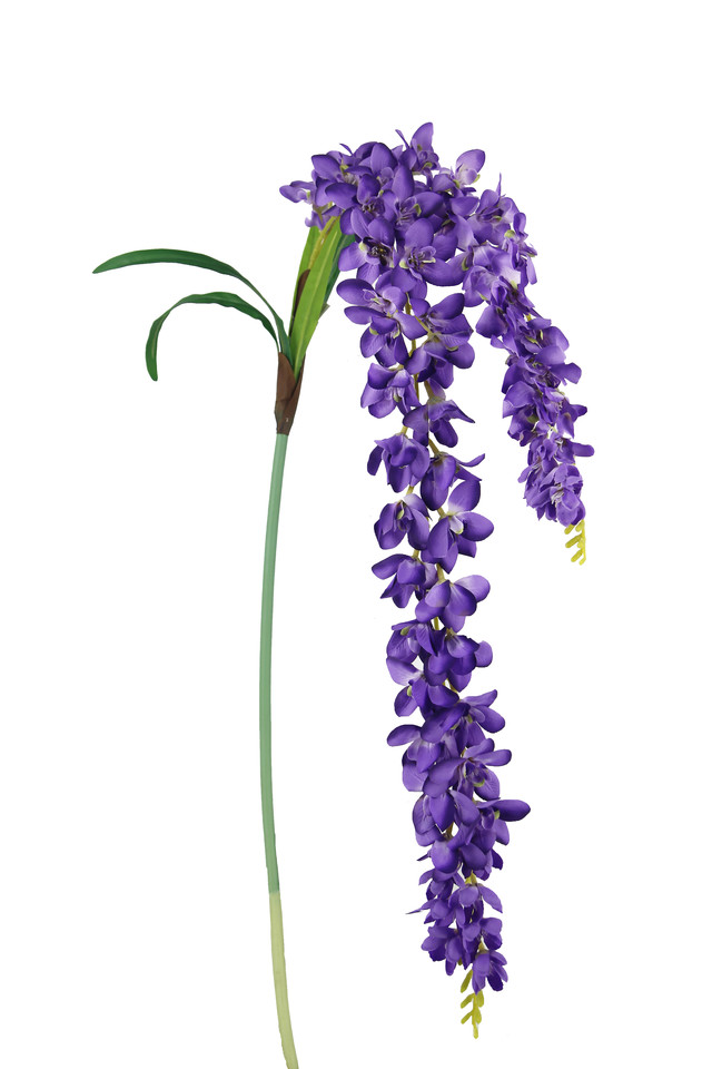 WISTERIA WISTERIUM FLOWER FLOWERS 108CM 108CMS ARTIFICIAL ARTIFICIALS ON ONS LONG LONGS STEM STEMS